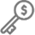 Dollar Sign in Key Icon